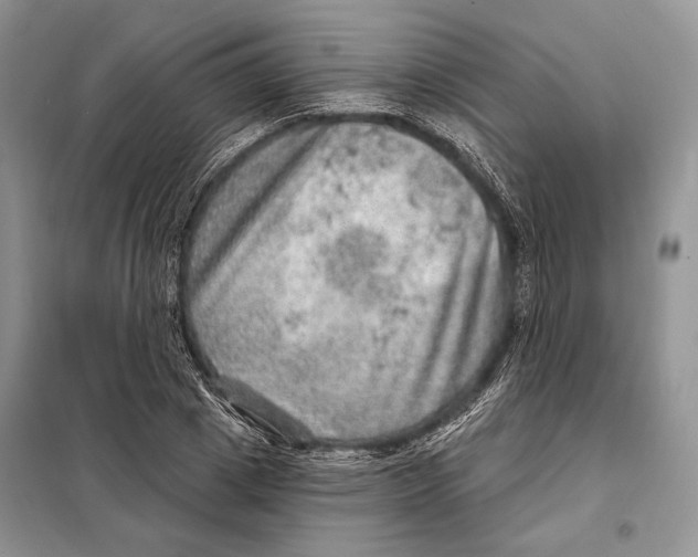 X0000098070833200805020955