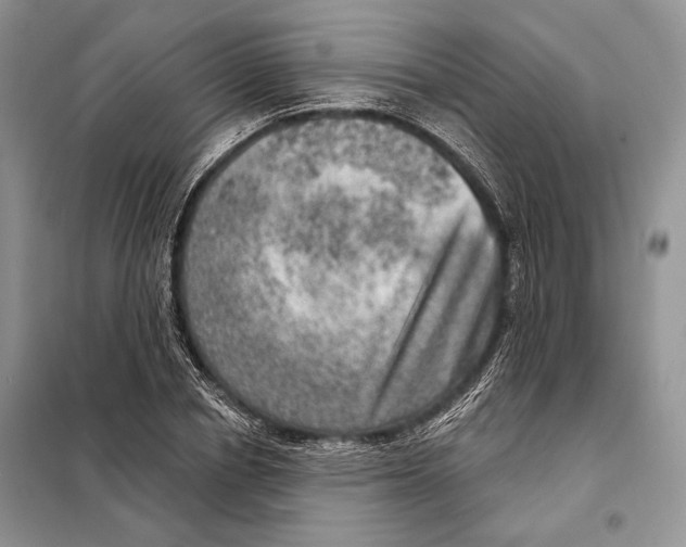 X0000098070834200805020956