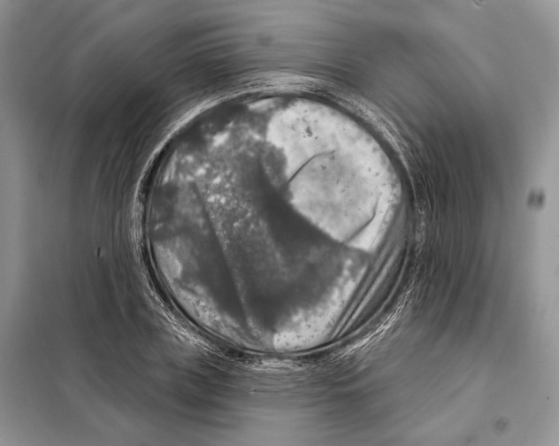 X0000098070835200805020956