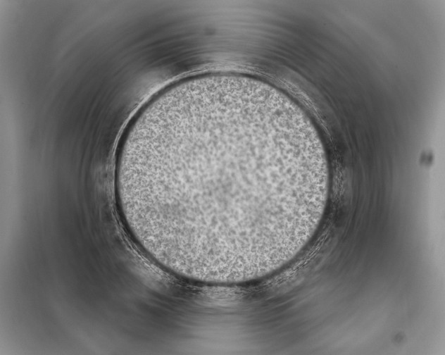 X0000098070836200805020956