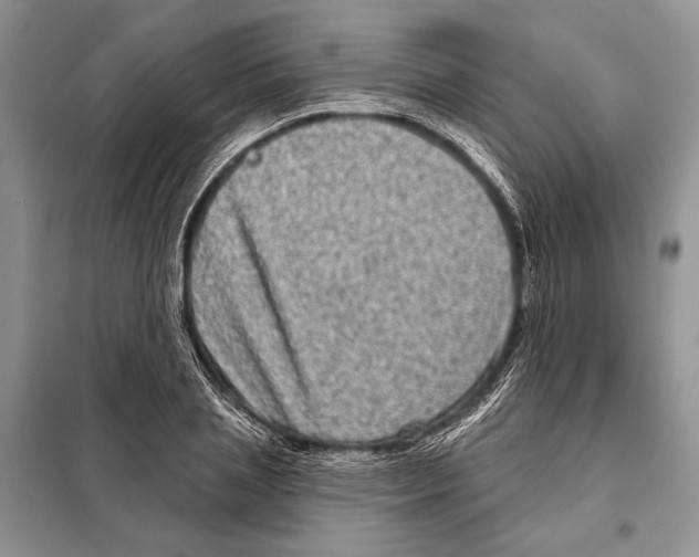 X0000098070837200805020956