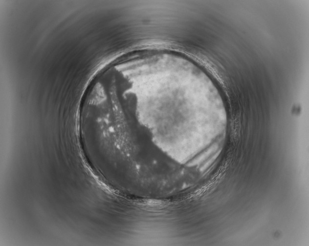 X0000098070839200805020956