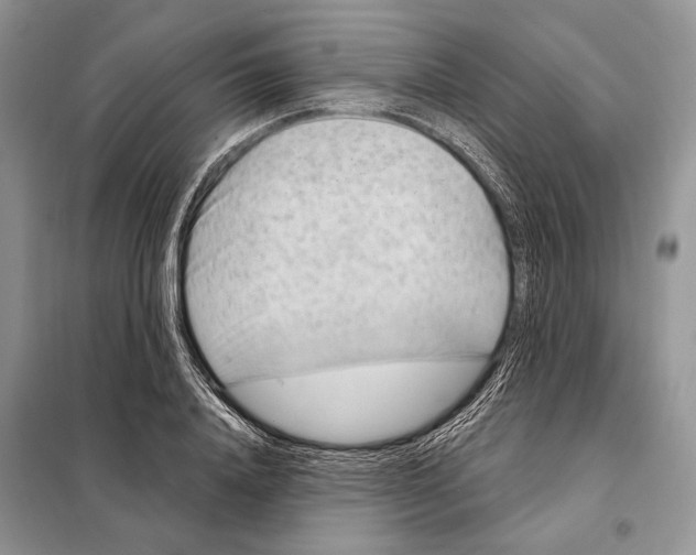 X0000098070840200805020956