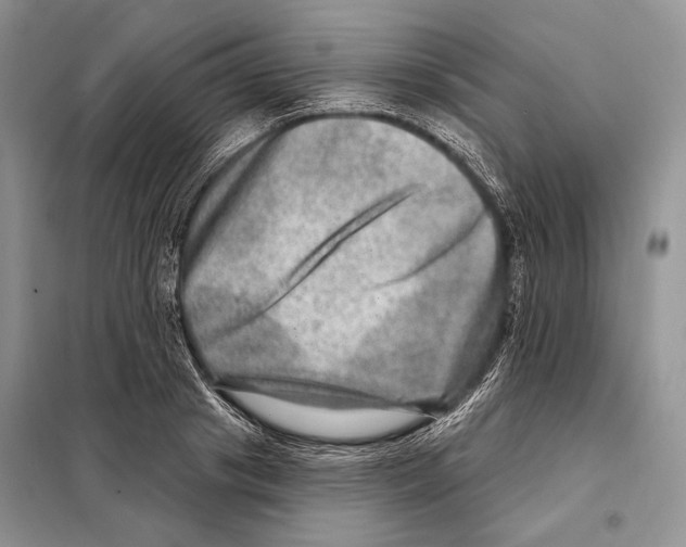 X0000098070841200805020956