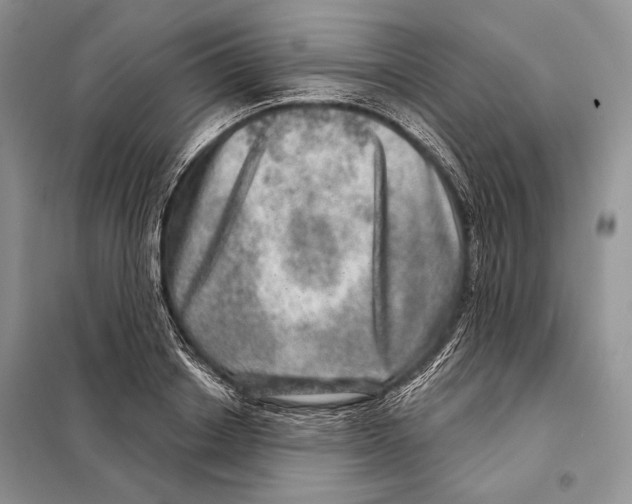 X0000098070842200805020956