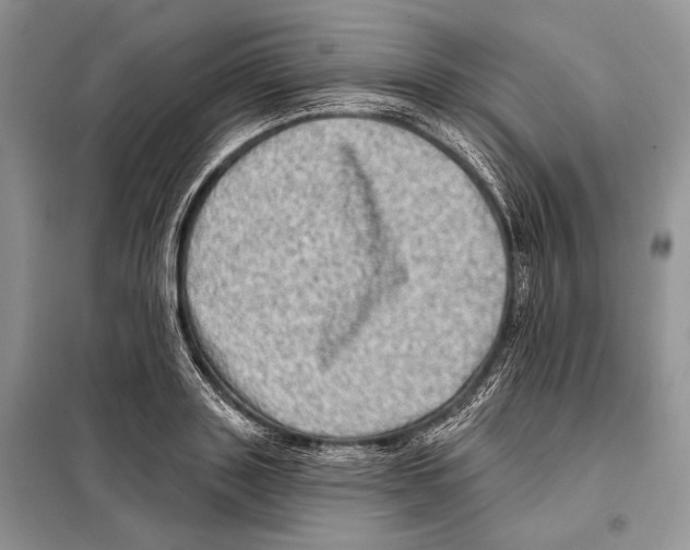 X0000098070843200805020956