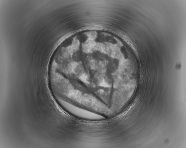 X0000098070845200805020956