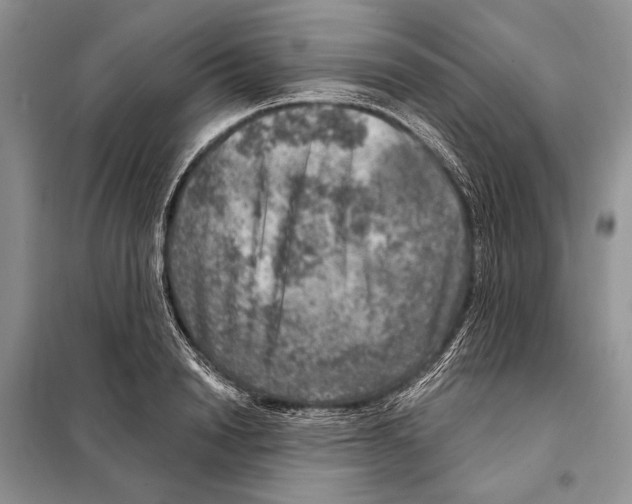 X0000098070846200805020956