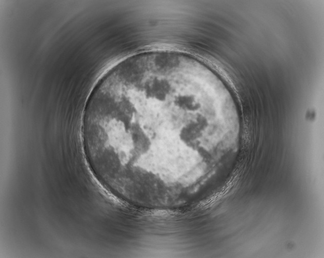 X0000098070847200805020956