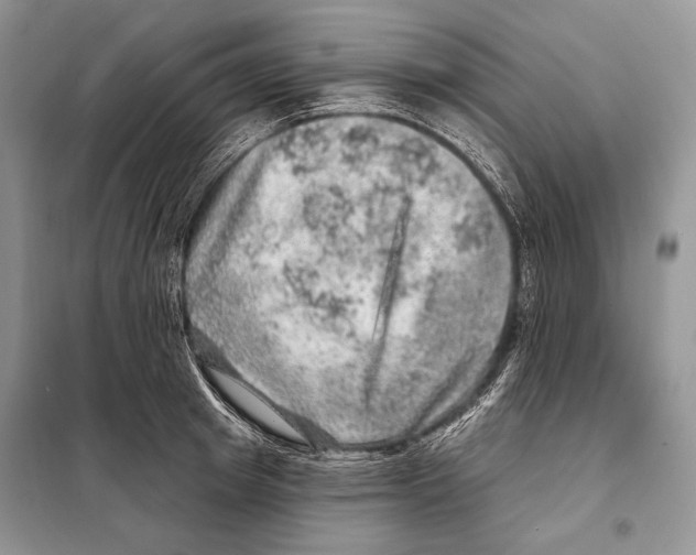 X0000098070849200805020956