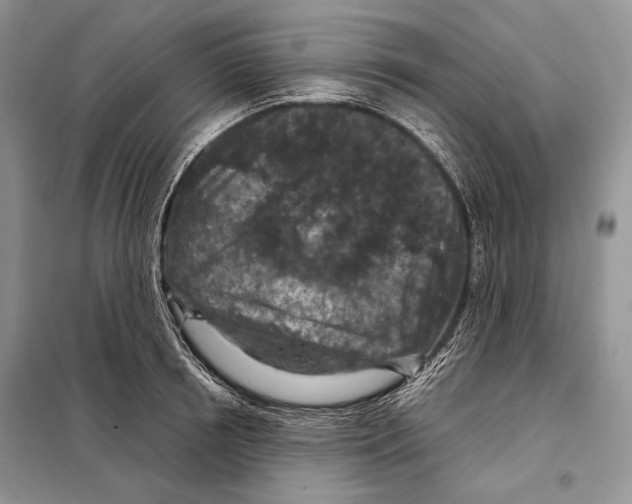 X0000098070850200805020956