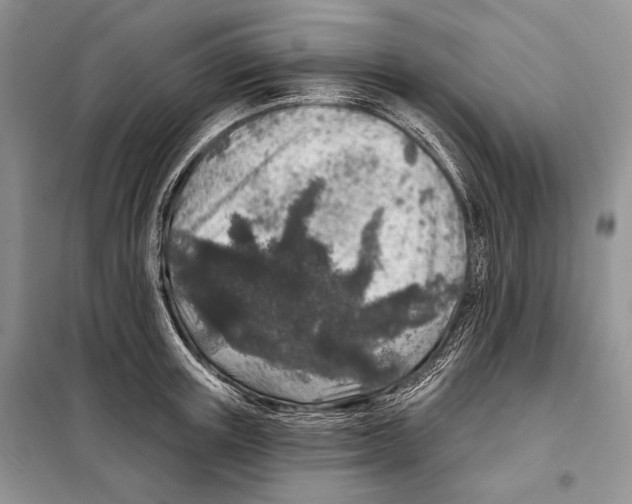 X0000098070851200805020956