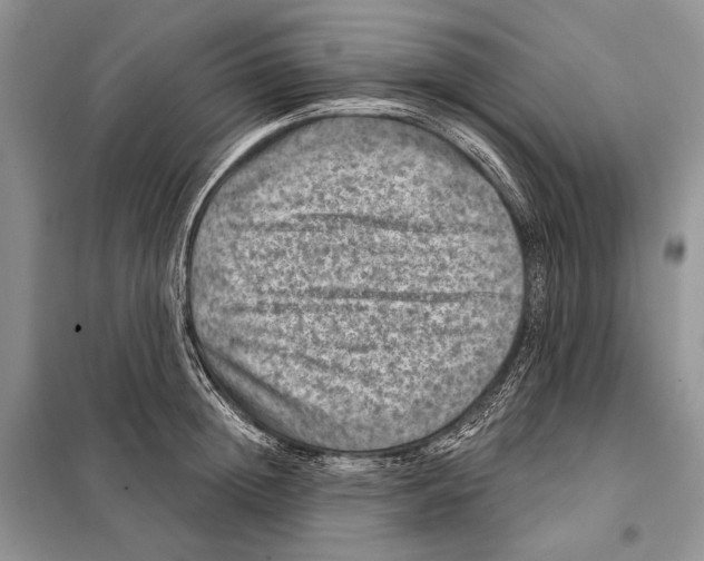 X0000098070852200805020956