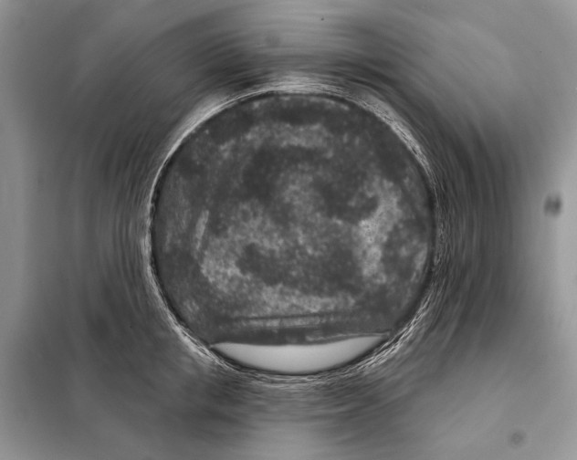 X0000098070853200805020956