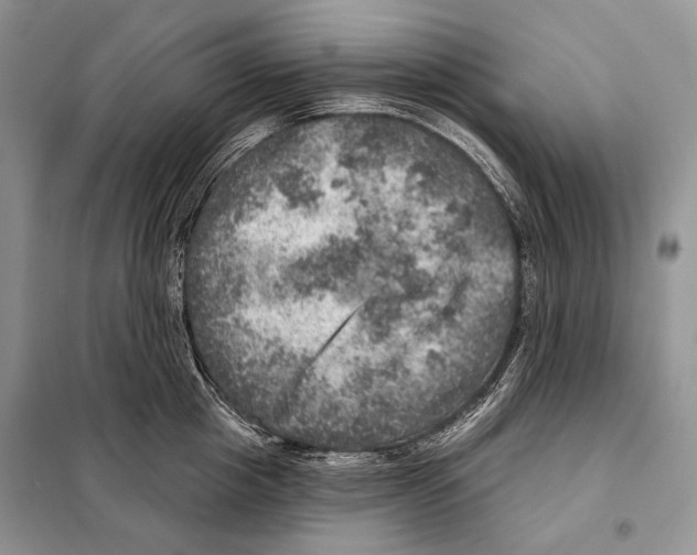 X0000098070857200805020956