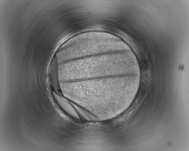 X0000098070858200805020956