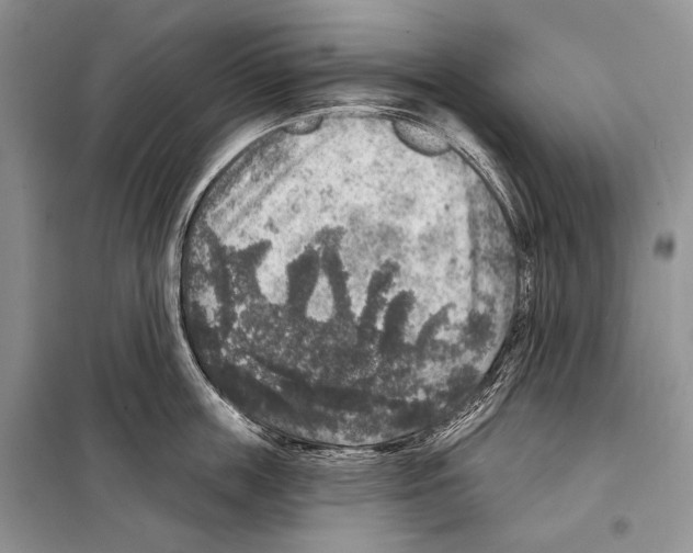 X0000098070859200805020956