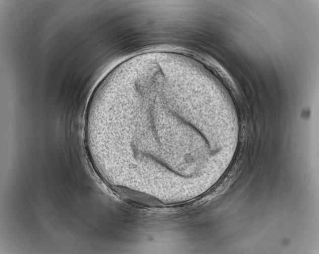 X0000098070860200805020956