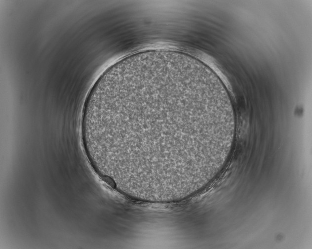 X0000098070861200805020956