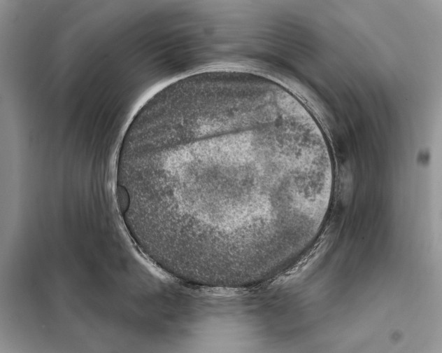 X0000098070862200805020956