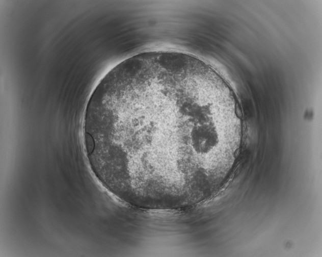 X0000098070863200805020956