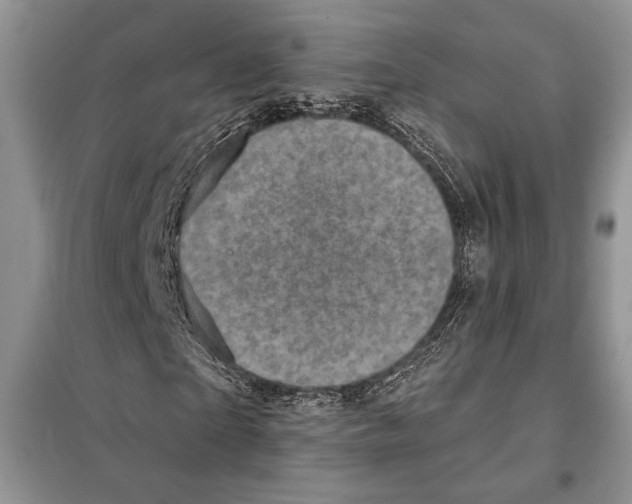 X0000098070865200805020955