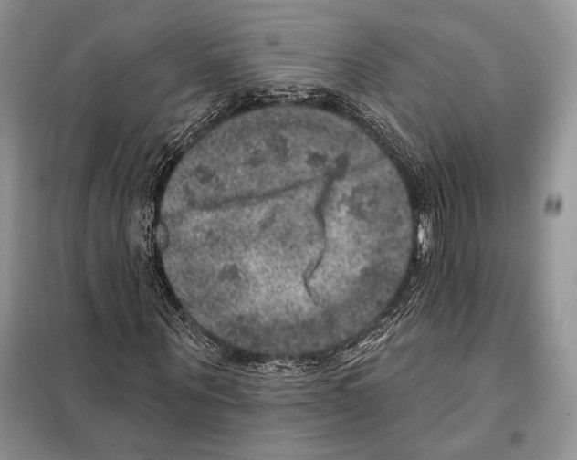 X0000098070867200805020955