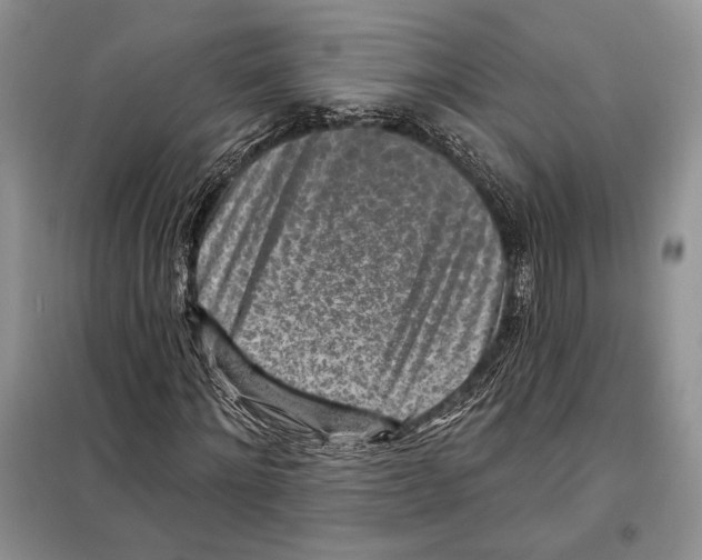 X0000098070868200805020955