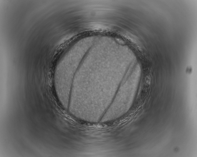 X0000098070869200805020955