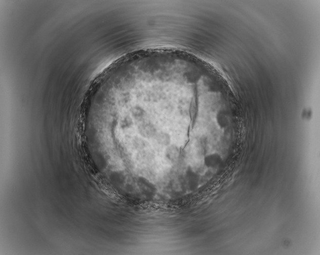 X0000098070871200805020955