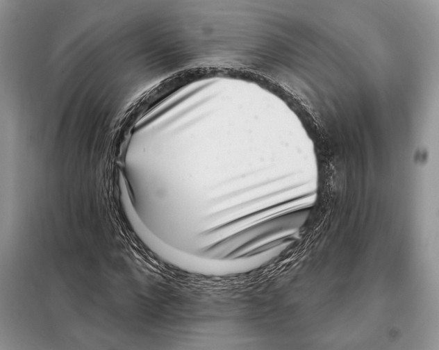 X0000098070872200805020955