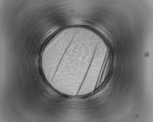 X0000098070873200805020955