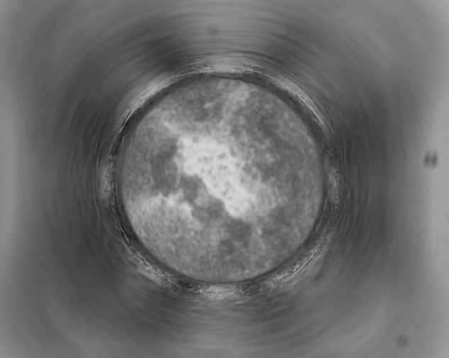 X0000098070874200805020955