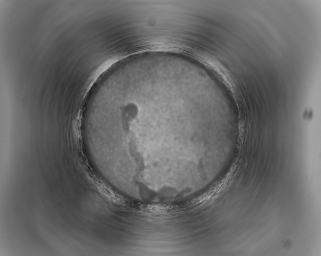 X0000098070875200805020955