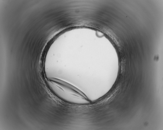 X0000098070876200805020955