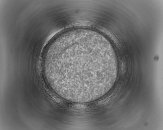 X0000098070878200805020955