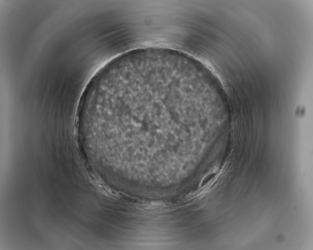 X0000098070879200805020955