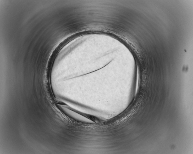 X0000098070880200805020955