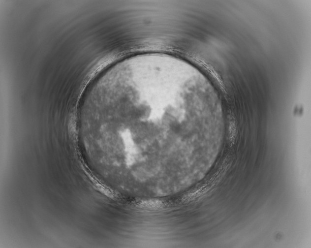 X0000098070882200805020955