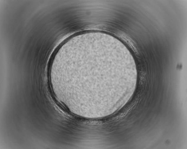 X0000098070884200805020955