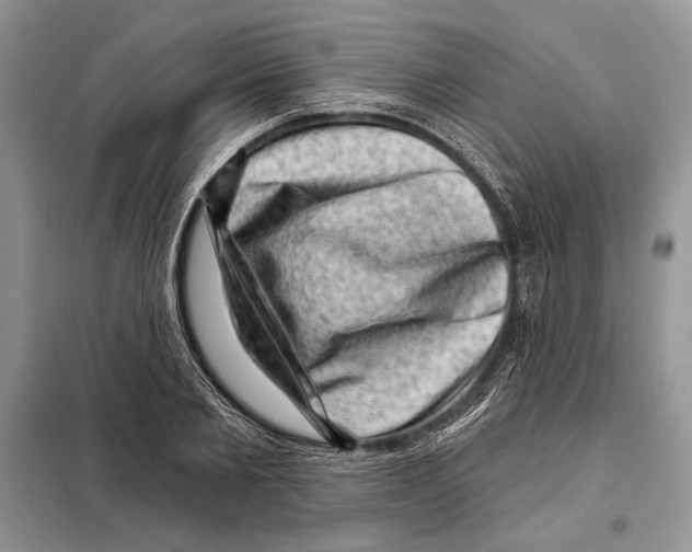 X0000098070885200805020955