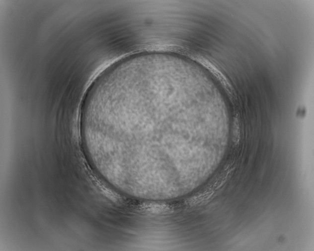 X0000098070886200805020955