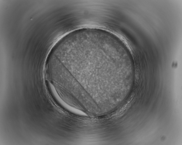 X0000098070887200805020955