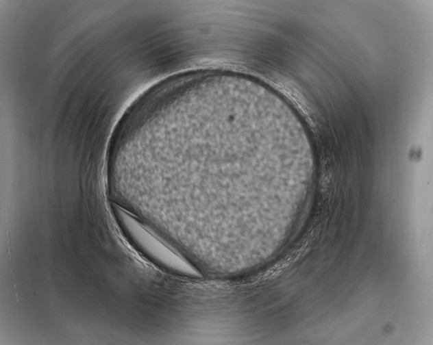 X0000098070888200805020955