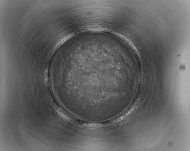 X0000098070889200805020955