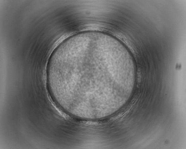 X0000098070890200805020955