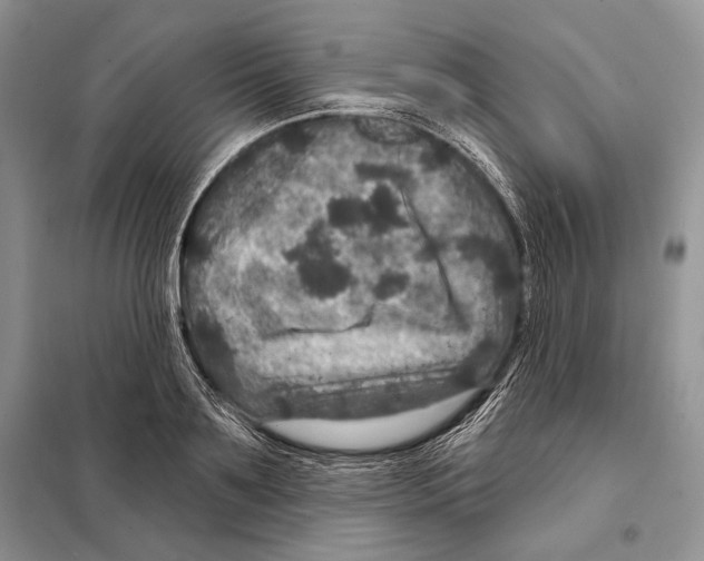 X0000098070891200805020955