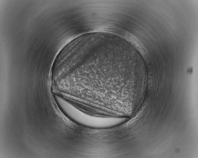 X0000098070892200805020955