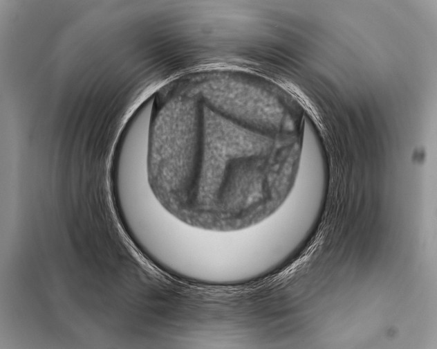 X0000098070893200805020955