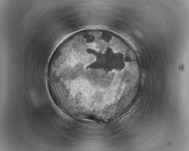 X0000098070895200805020955